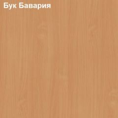 Антресоль для малого шкафа Логика Л-14.3.1 в Можге - mozhga.mebel24.online | фото 2