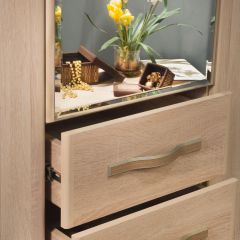 ДИАНА Д11 Шкаф для одежды в Можге - mozhga.mebel24.online | фото 5