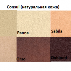 Диван двухместный Алекто Consul натуральная кожа в Можге - mozhga.mebel24.online | фото 5