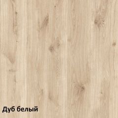 Эйп Шкаф комбинированный 13.14 в Можге - mozhga.mebel24.online | фото 4