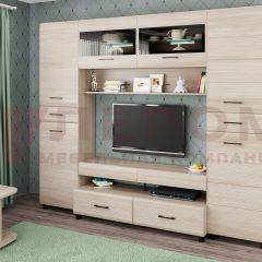 Гостиная Камелия Композиция 10 (Ясень Асахи) в Можге - mozhga.mebel24.online | фото