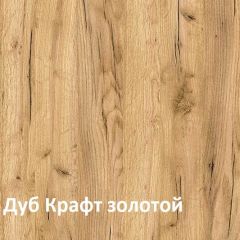 Крафт Полка для обуви 15.63 в Можге - mozhga.mebel24.online | фото 3