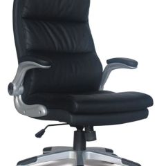 Кресло офисное BRABIX "Fregat EX-510" (рециклированная кожа, черное) 530863 в Можге - mozhga.mebel24.online | фото