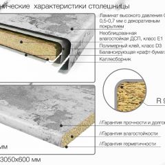 Кухонный фартук со столешницей (А-01) в едином стиле (3050 мм) в Можге - mozhga.mebel24.online | фото 6