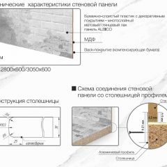 Кухонный фартук со столешницей (А-01) в едином стиле (3050 мм) в Можге - mozhga.mebel24.online | фото 7