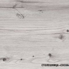 Кухонный гарнитур Сиена стандарт 1600 мм в Можге - mozhga.mebel24.online | фото 8