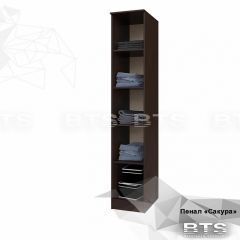 Пенал Сакура (венге/лоредо) в Можге - mozhga.mebel24.online | фото 2