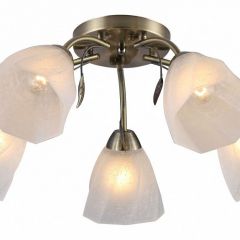 Потолочная люстра Rivoli Olivia Б0052693 в Можге - mozhga.mebel24.online | фото