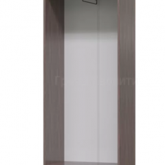 ДОМИНО Прихожая Шкаф для одежды (Бодега темный/светлый) в Можге - mozhga.mebel24.online | фото 2