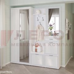 Прихожая Карина композиция 1 (Снежный ясень) в Можге - mozhga.mebel24.online | фото