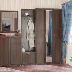 Прихожая Карина композиция 4 (Акация Молдау) в Можге - mozhga.mebel24.online | фото