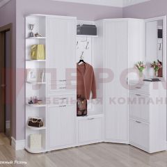 Прихожая Карина композиция 5 (Снежный ясень) в Можге - mozhga.mebel24.online | фото