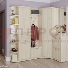 Прихожая Карина композиция 5 (Ясень Асахи) в Можге - mozhga.mebel24.online | фото