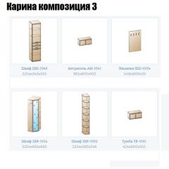 Прихожая Карина (модульная) в Можге - mozhga.mebel24.online | фото 8