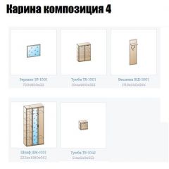 Прихожая Карина (модульная) в Можге - mozhga.mebel24.online | фото 10