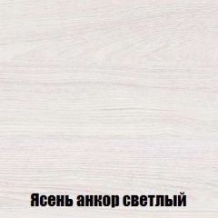 Шкаф 2-х створчатый МСП-1 (Ясень Анкор светлый) в Можге - mozhga.mebel24.online | фото 4