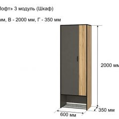 ОЛЬГА-ЛОФТ 3 Шкаф 2-х створчатый в Можге - mozhga.mebel24.online | фото 4