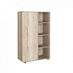 Шкаф комбинированный Дельта Лофт-13 Дуб Ирладндский в Можге - mozhga.mebel24.online | фото