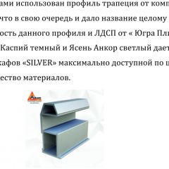 Шкаф-купе 1300 серии SILVER S4+S3Z+B2+PL1 (2 ящика+1 штанга) профиль «Серебро» в Можге - mozhga.mebel24.online | фото 6