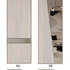 Шкаф-купе 1300 серии SILVER S4+S3Z+B2+PL1 (2 ящика+1 штанга) профиль «Серебро» в Можге - mozhga.mebel24.online | фото 11