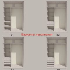 Шкаф-купе 1700 серии SILVER S1+S1+B2+PL2 (2 ящика+1 штанга+1 полка) профиль «Серебро» в Можге - mozhga.mebel24.online | фото 5