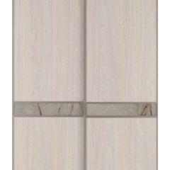 Шкаф-купе 1700 серии SILVER S1+S1+B2+PL2 (2 ящика+1 штанга+1 полка) профиль «Серебро» в Можге - mozhga.mebel24.online | фото 10