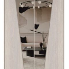 Шкаф-купе 1700 серии SILVER S1+S1+B2+PL2 (2 ящика+1 штанга+1 полка) профиль «Серебро» в Можге - mozhga.mebel24.online | фото 12