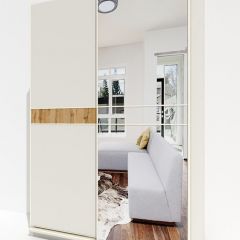 Шкаф-купе 1800 серии SOFT D6+D4+B2+PL2 (2 ящика+1штанга+1 полка) профиль «Капучино» в Можге - mozhga.mebel24.online | фото 4