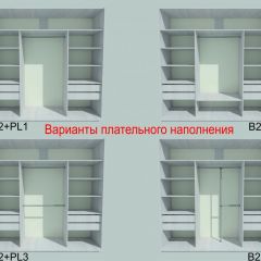 Шкаф-купе 1950 серии SILVER S3+S1+S3Z B22+PL2 (по 2 ящика лев/прав+1штанга+1 полка) профиль «Серебро» в Можге - mozhga.mebel24.online | фото 6