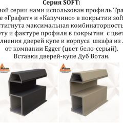 Шкаф-купе 2400 серии SOFT D5+D5+D5+B22+PL4 (по 2 ящика лев/прав+2штанги) профиль «Графит» в Можге - mozhga.mebel24.online | фото 11