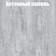 Шкаф-купе Бассо 1.0 (Дуб Крафт серый/Бетонный камень) 2 двери ЛДСП 1 зеркальная вставка в Можге - mozhga.mebel24.online | фото 3