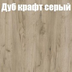 Шкаф-купе Бассо 1.0 (Дуб Крафт серый/Бетонный камень) 2 двери ЛДСП 1 зеркальная вставка в Можге - mozhga.mebel24.online | фото 4