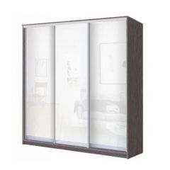 Шкаф-купе ХИТ 22-20/2-888 (620) в Можге - mozhga.mebel24.online | фото 9