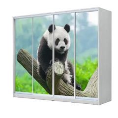 Шкаф-купе ХИТ 23-4-24/2-7777 (420) в Можге - mozhga.mebel24.online | фото