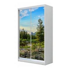 Шкаф-купе ХИТ 24-4-17-77 (420) в Можге - mozhga.mebel24.online | фото