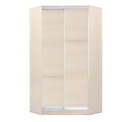 Шкаф-купе ХИТ-У-22-4-11 в Можге - mozhga.mebel24.online | фото 5