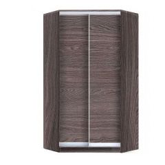 Шкаф-купе ХИТ-У-22-4-11 в Можге - mozhga.mebel24.online | фото 9