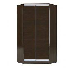 Шкаф-купе ХИТ-У-22-4-11 в Можге - mozhga.mebel24.online | фото 10