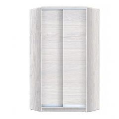 Шкаф-купе ХИТ-У-24-4-11 в Можге - mozhga.mebel24.online | фото 5