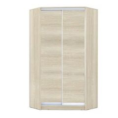 Шкаф-купе ХИТ-У-R-24-64-11 в Можге - mozhga.mebel24.online | фото 8