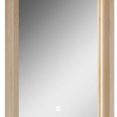 Шкаф-зеркало Nice 45 с подсветкой Домино (DN4704HZ) в Можге - mozhga.mebel24.online | фото
