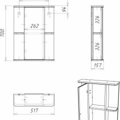 Шкаф-зеркало Норма 2-50 левый АЙСБЕРГ (DA1607HZ) в Можге - mozhga.mebel24.online | фото 10