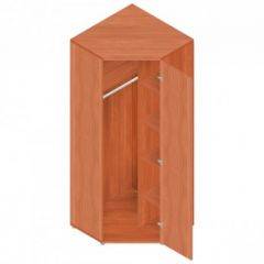 Шкаф для одежды "Референт" Р.Ш-10 в Можге - mozhga.mebel24.online | фото