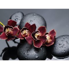 Стол обеденный Бостон Ст101.1 в Можге - mozhga.mebel24.online | фото 5