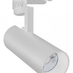 Светильник на штанге Escada 20029 20029TRA/01LED SWH в Можге - mozhga.mebel24.online | фото