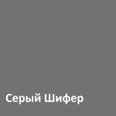 Юнона Шкаф торцевой 13.221 в Можге - mozhga.mebel24.online | фото 2