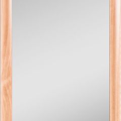 Зеркало МДФ профиль 1200х600 Бук Домино (DM9002Z) в Можге - mozhga.mebel24.online | фото