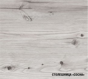 АСАЯ Кухонный гарнитур Макси 2 (1800 мм) ПМ в Можге - mozhga.mebel24.online | фото 8
