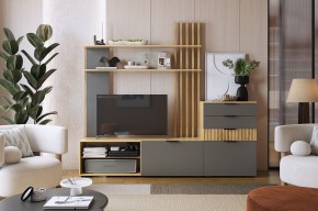 БЕРИ К3 Гостиная в Можге - mozhga.mebel24.online | фото 2