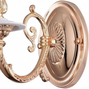 Бра Arte Lamp 8020 A8020AP-1WG в Можге - mozhga.mebel24.online | фото 4